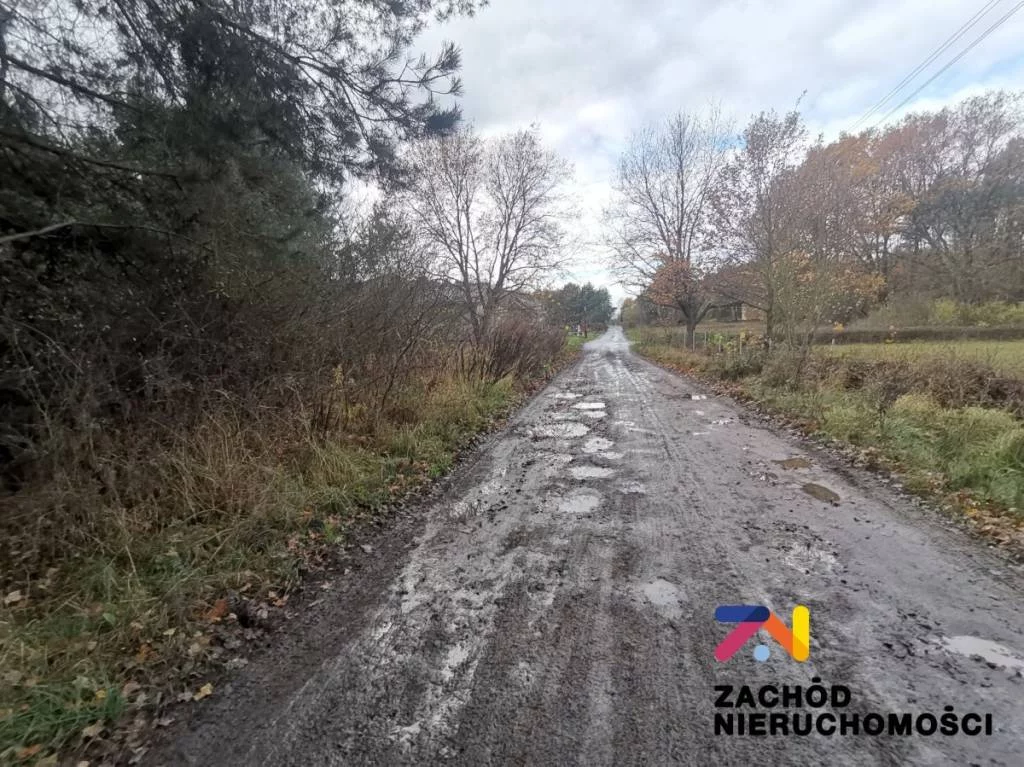 152650227 - zdjęcie nr 2