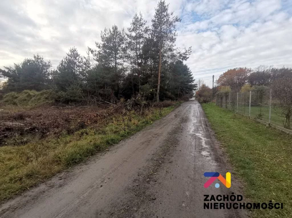 152650227 - zdjęcie nr 3