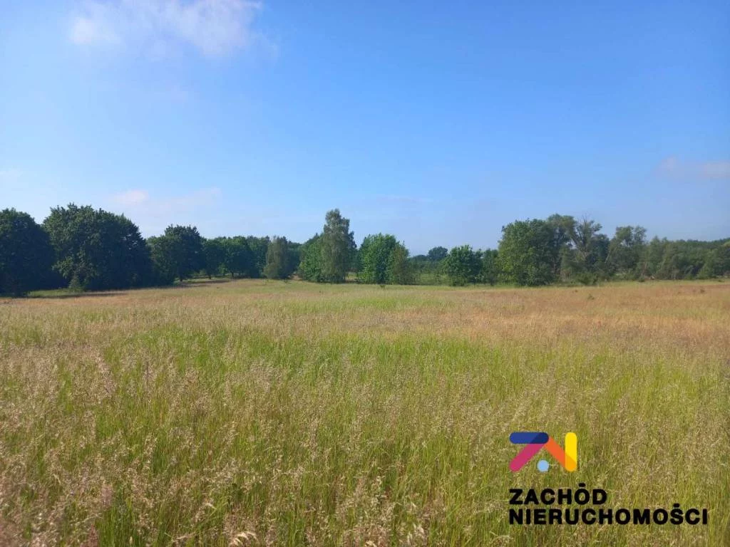 144250227 - zdjęcie nr 1