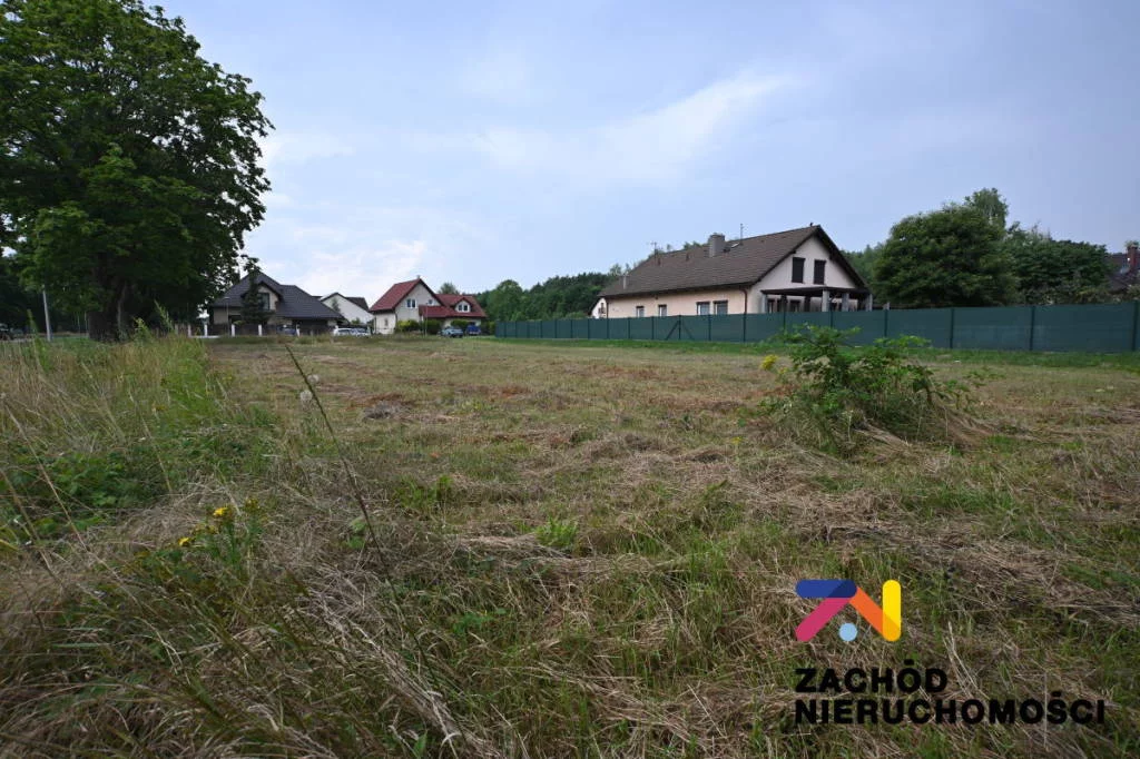 162370227 - zdjęcie nr 2