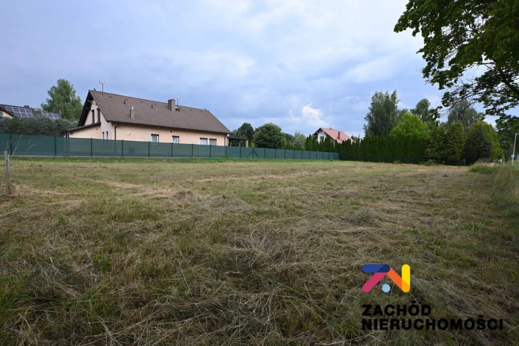 162370227 - zdjęcie nr 3