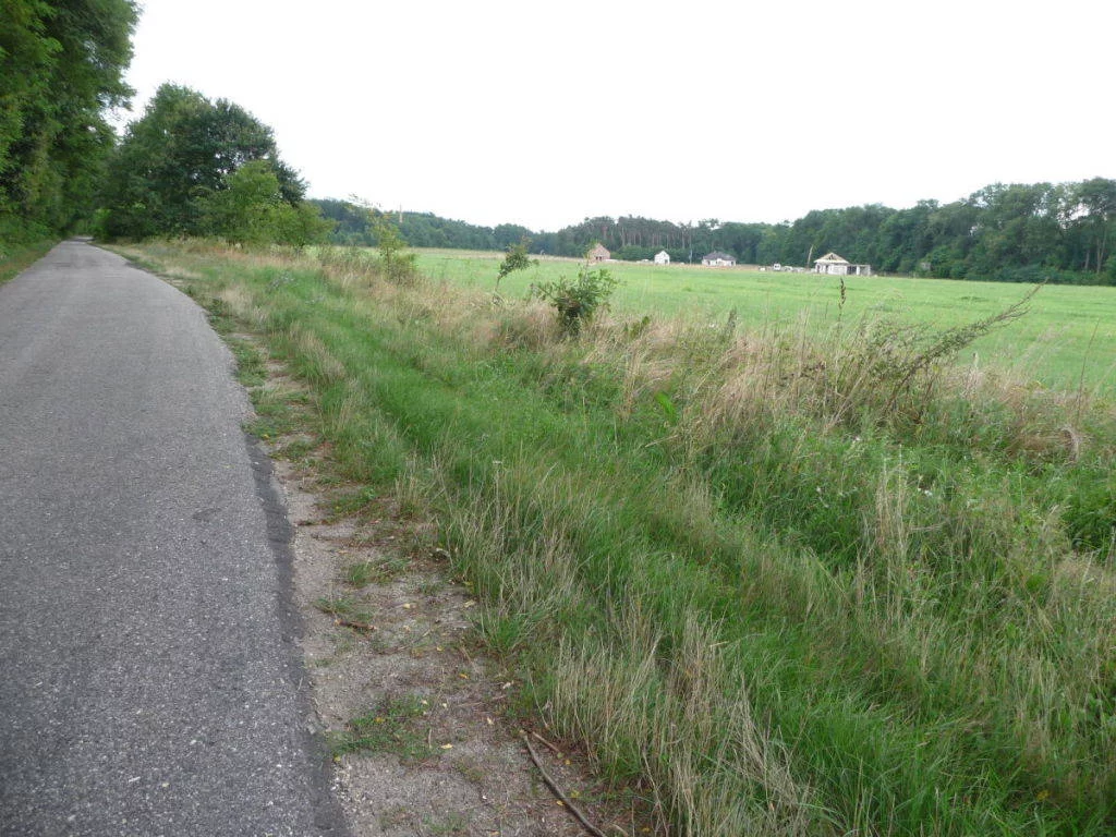 56360227 - zdjęcie nr 3