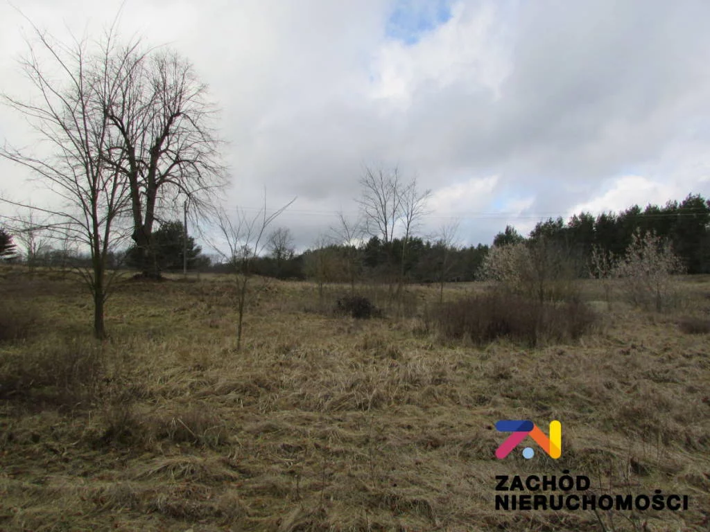 144530227 - zdjęcie nr 0