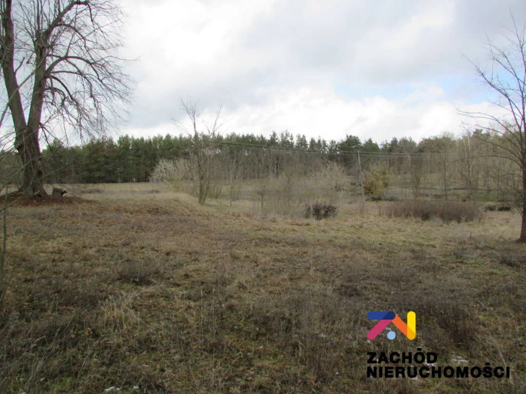 144530227 - zdjęcie nr 2