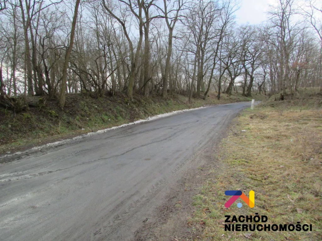 144530227 - zdjęcie nr 5