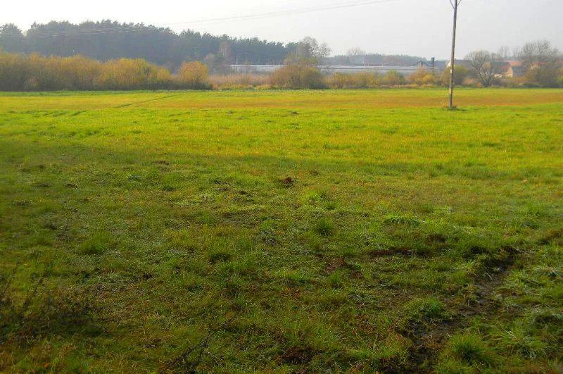 Apartamenty 30560227 Grójec Mały