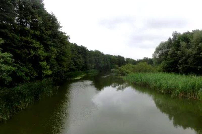 30560227 - zdjęcie nr 5