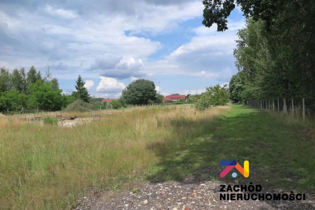 Apartamenty 162330227 Gronów Gronów