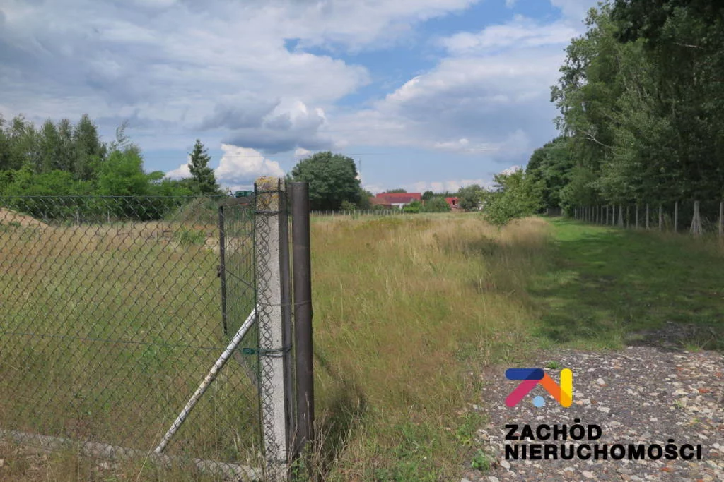 162330227 - zdjęcie nr 1