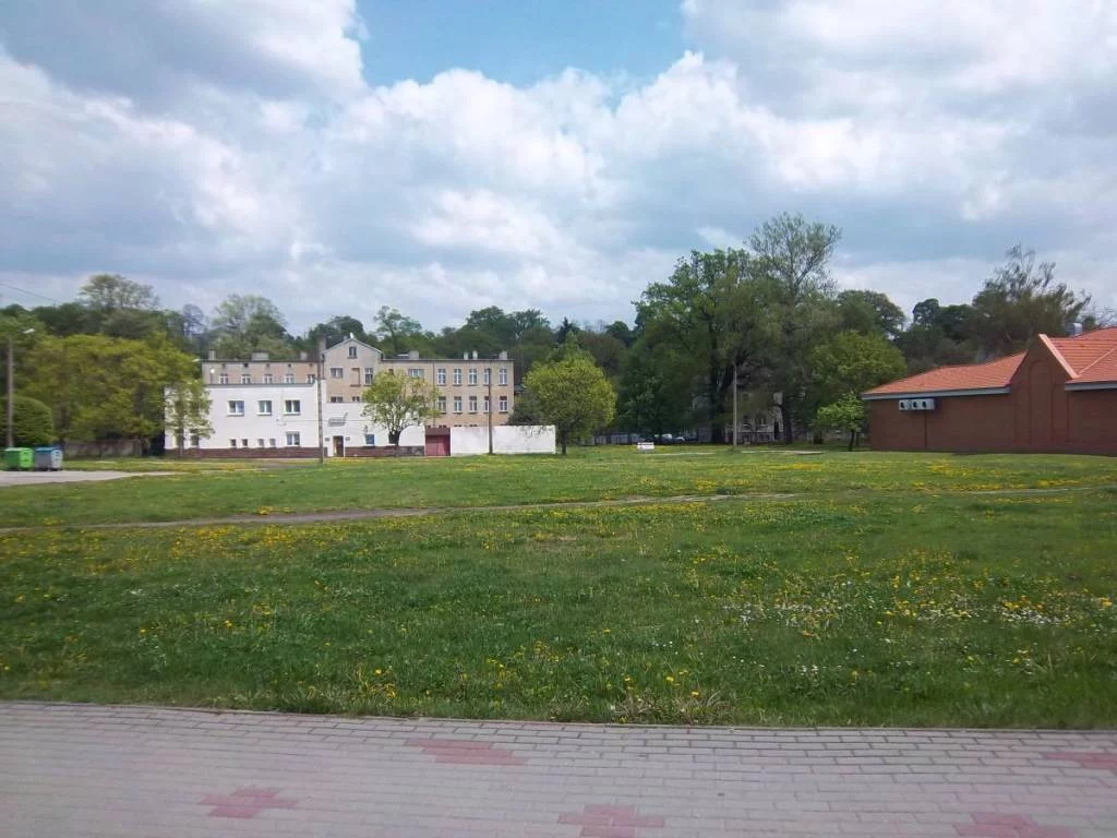 91920227 - zdjęcie nr 1