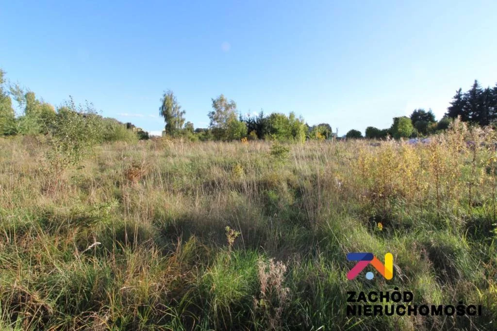 145710227 - zdjęcie nr 4