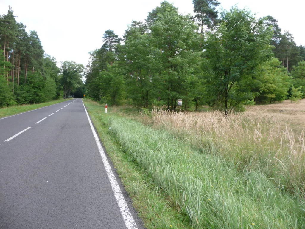 96730227 - zdjęcie nr 4