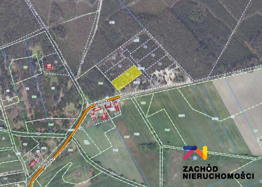162700227 - zdjęcie nr 3