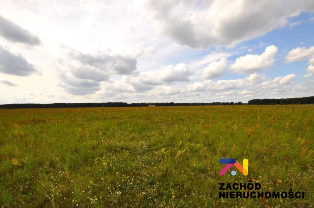156370227 - zdjęcie nr 1