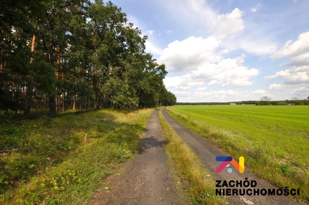 156370227 - zdjęcie nr 3