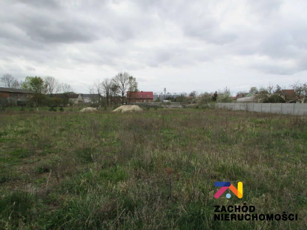 154520227 - zdjęcie nr 2