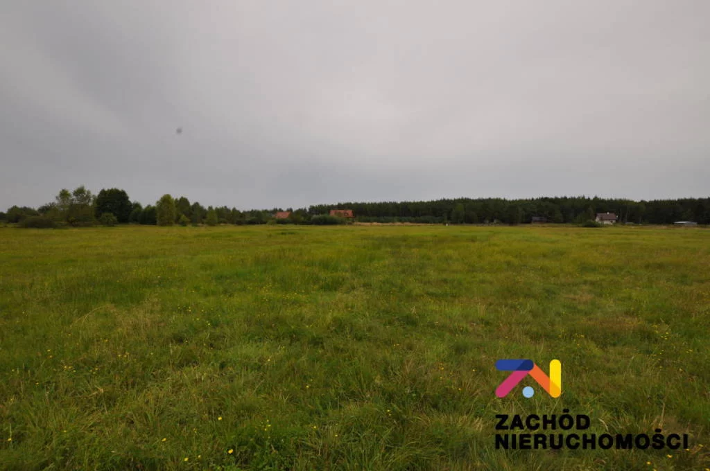 155580227 - zdjęcie nr 0