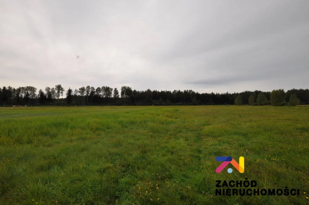155580227 - zdjęcie nr 1