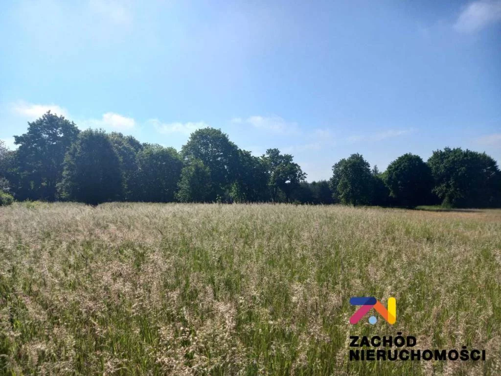 Apartamenty 155700227 Książ Śląski