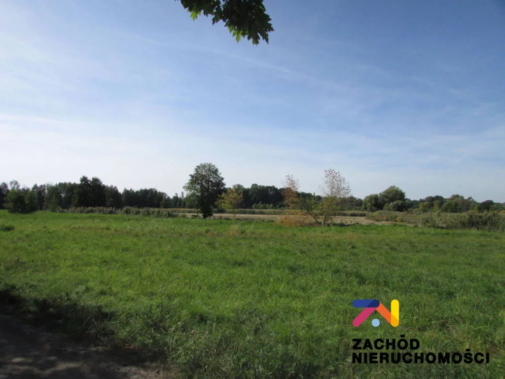 Apartamenty 142970227 Książ Śląski