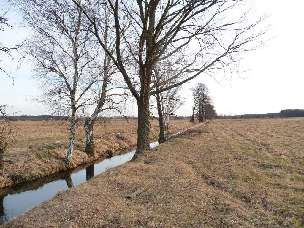 79340227 - zdjęcie nr 0