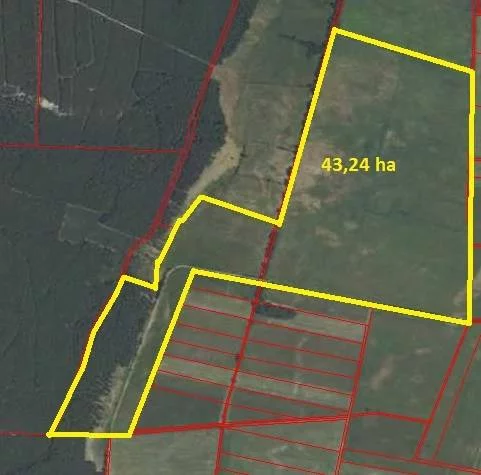 79340227 - zdjęcie nr 2