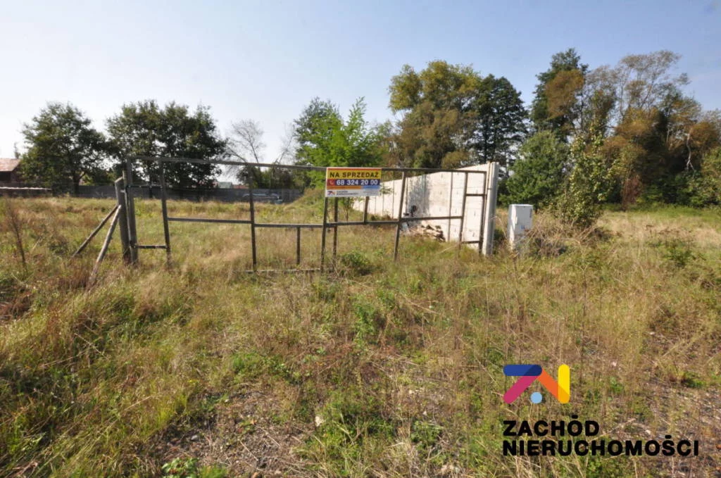157420227 - zdjęcie nr 0