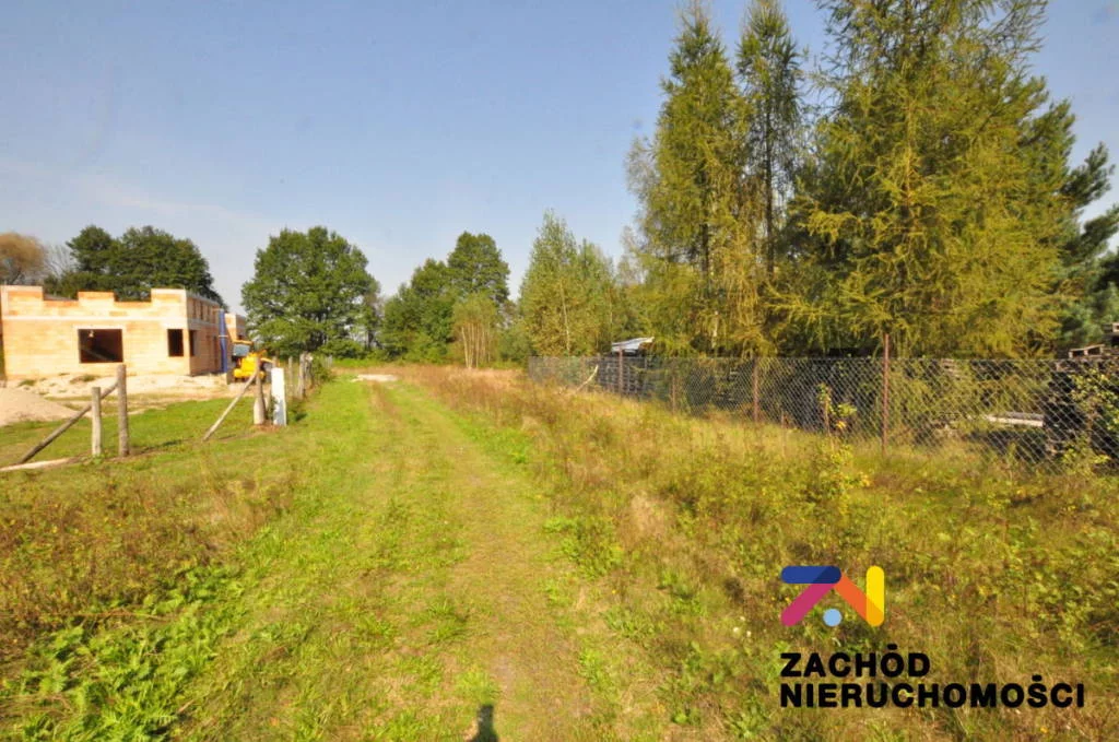 157420227 - zdjęcie nr 5