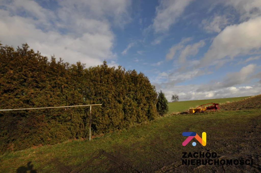 153140227 - zdjęcie nr 3