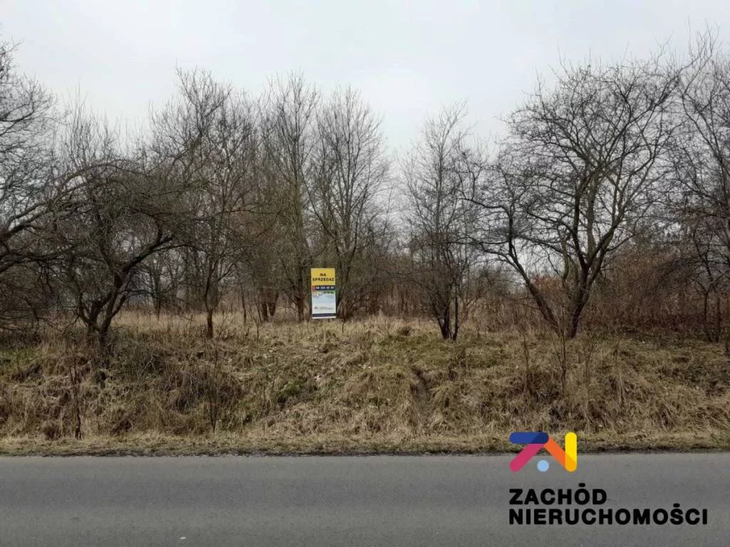 144040227 - zdjęcie nr 0