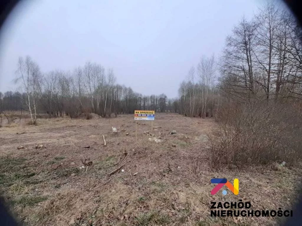 144030227 - zdjęcie nr 1