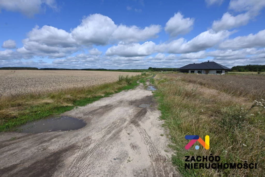 162400227 - zdjęcie nr 4