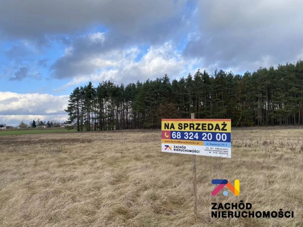 158970227 - zdjęcie nr 0