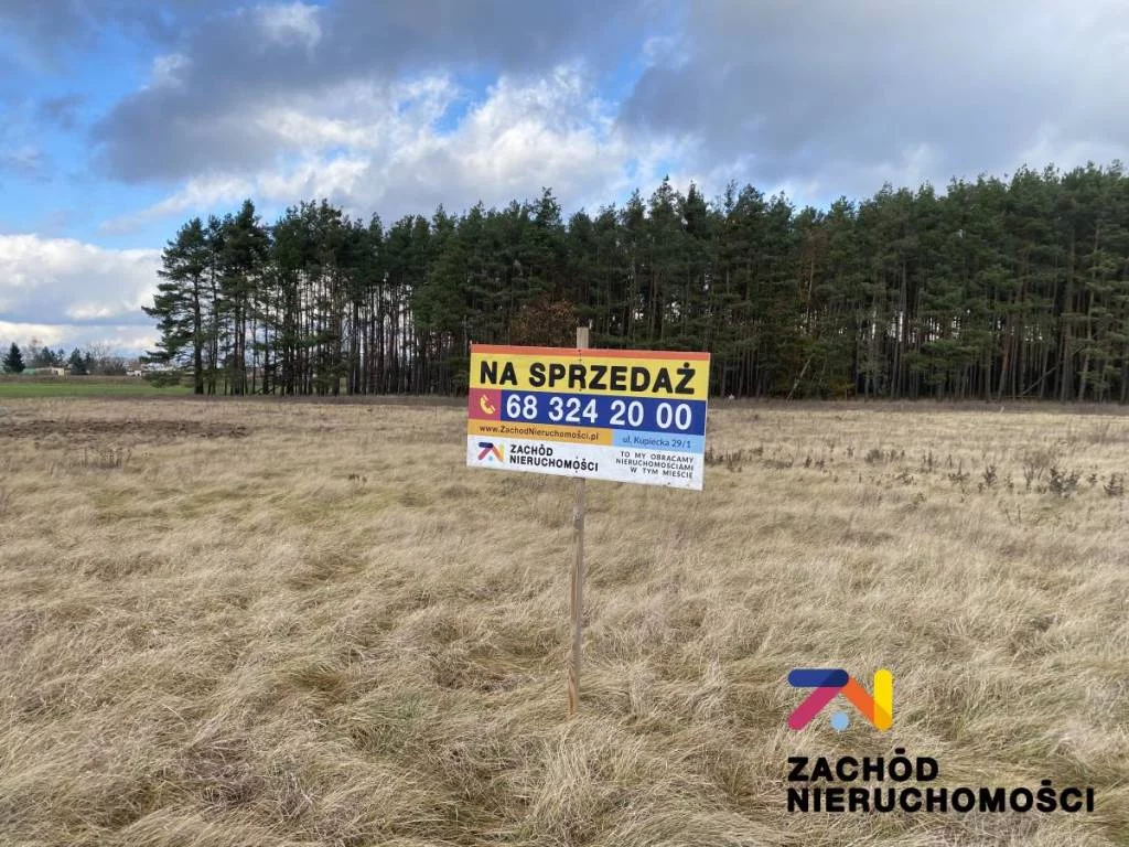 158970227 - zdjęcie nr 1