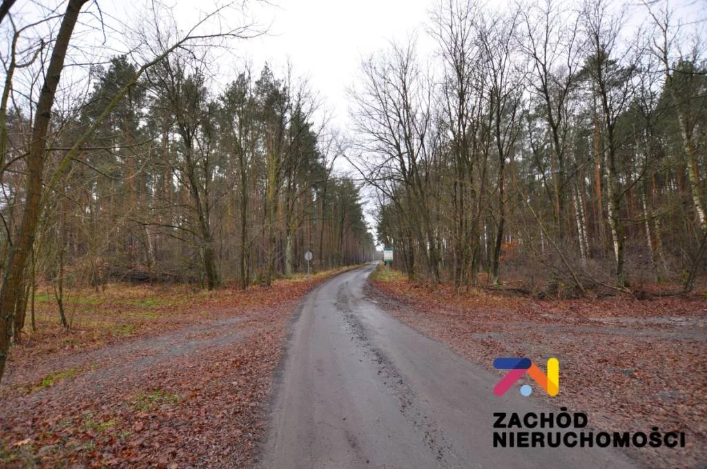 159220227 - zdjęcie nr 2