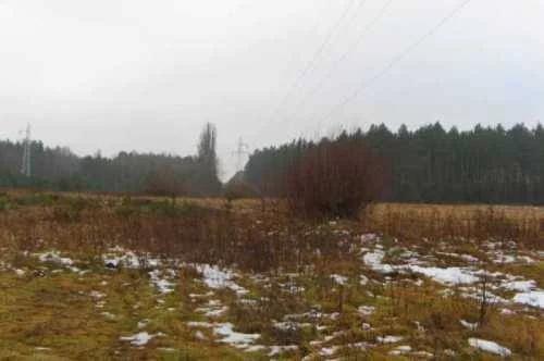 1920227 - zdjęcie nr 0