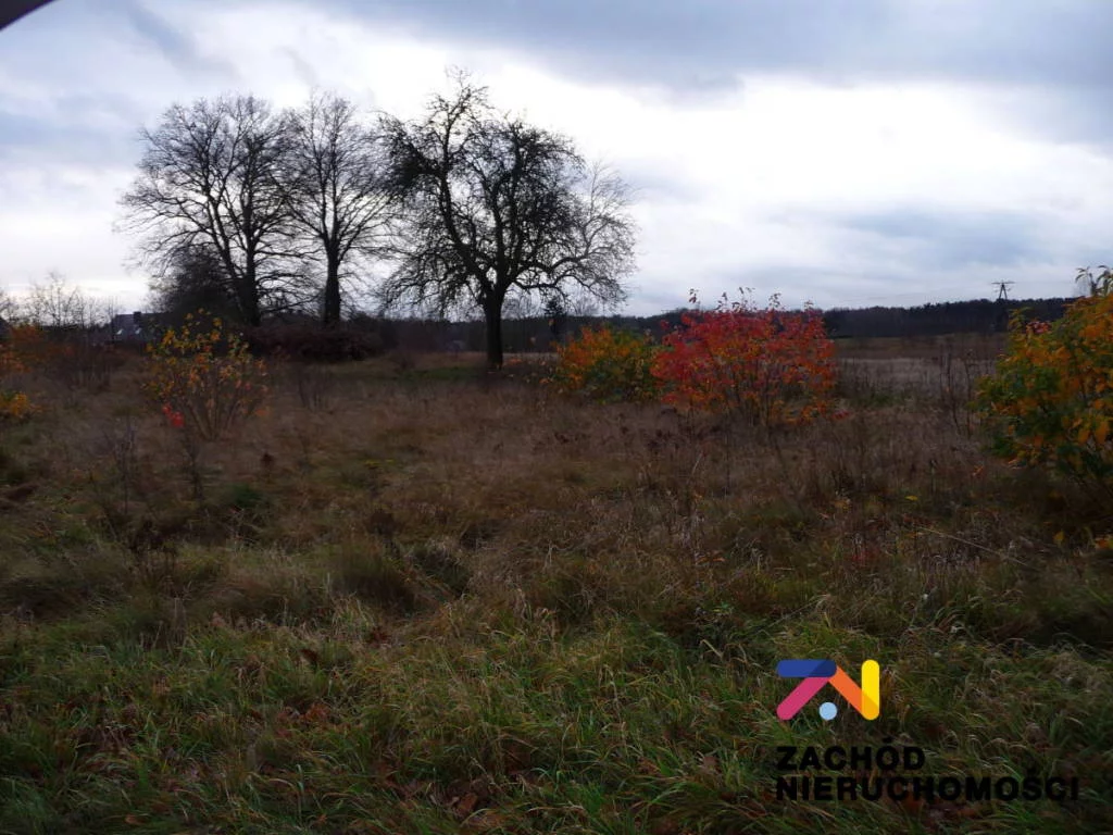 Apartamenty 142010227 Nowogród Bobrzański