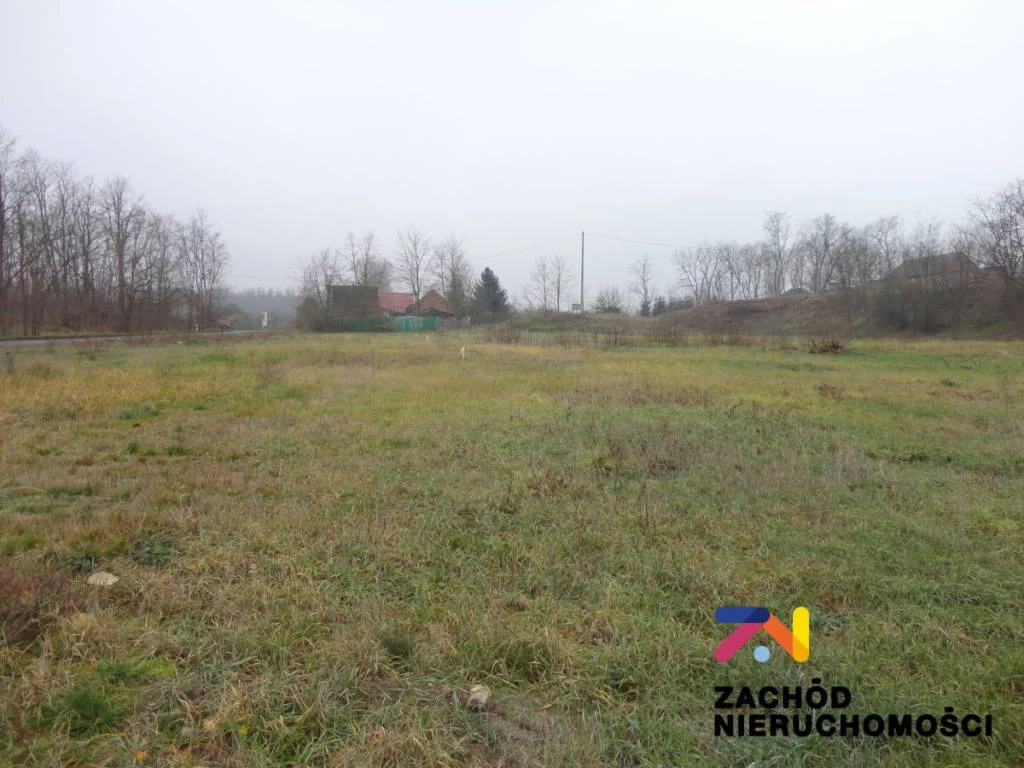 131640227 - zdjęcie nr 2