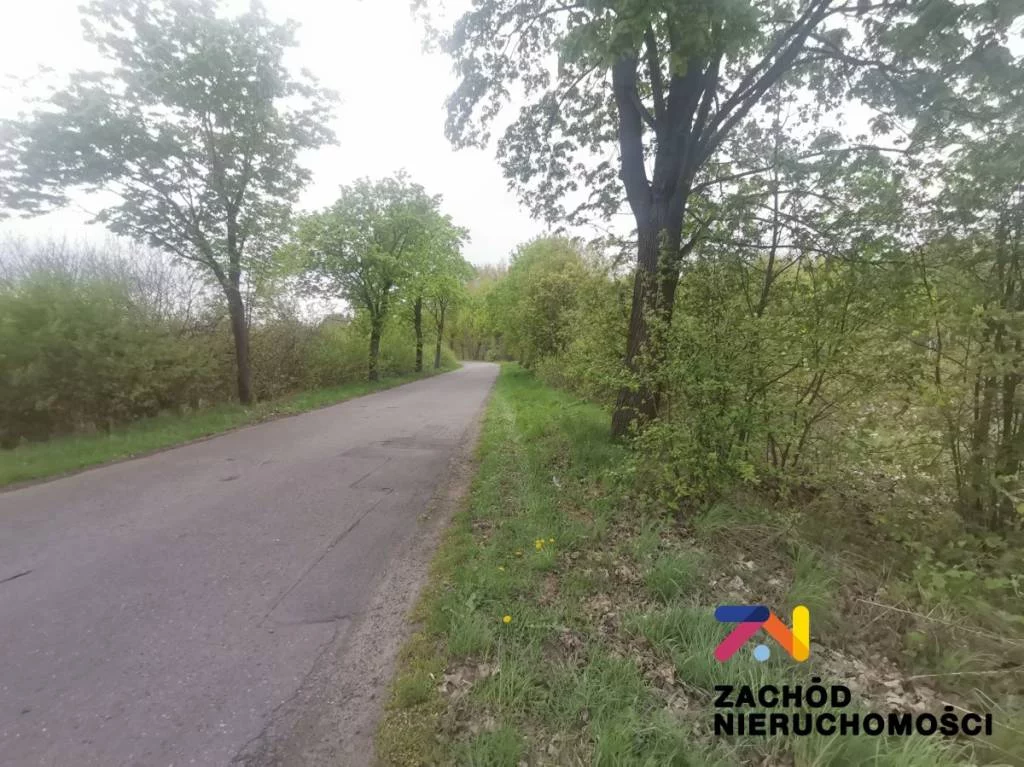 154830227 - zdjęcie nr 0