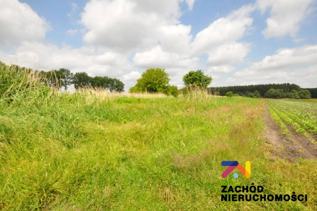 155800227 - zdjęcie nr 3