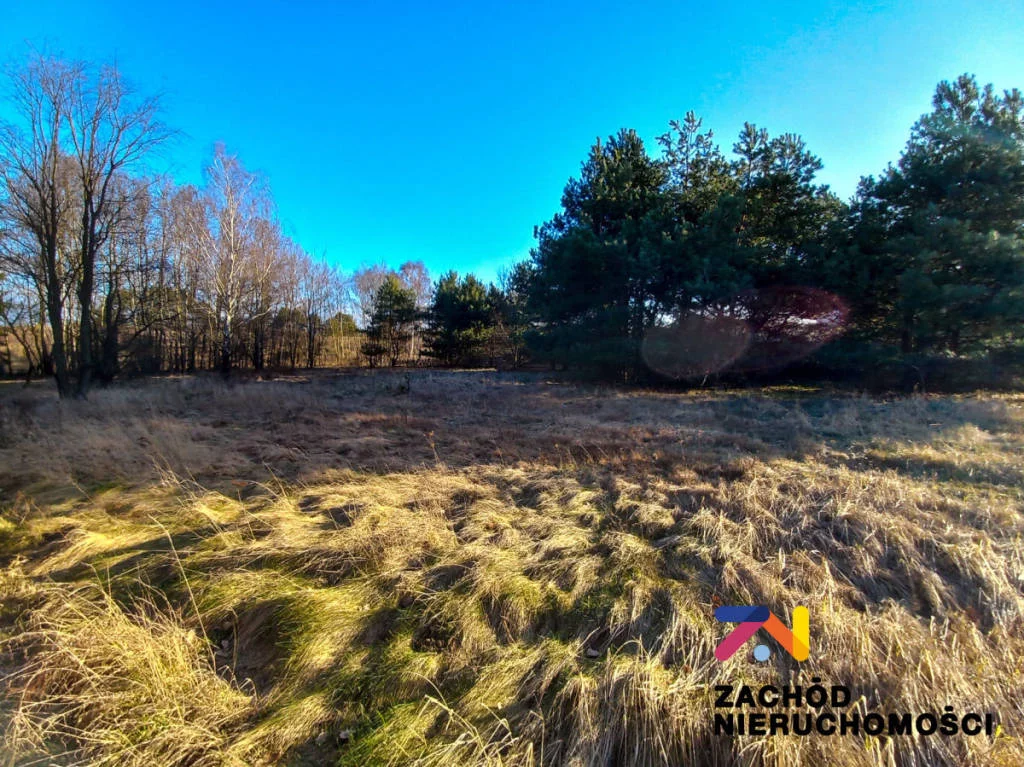 Apartamenty 142750227 Przytok