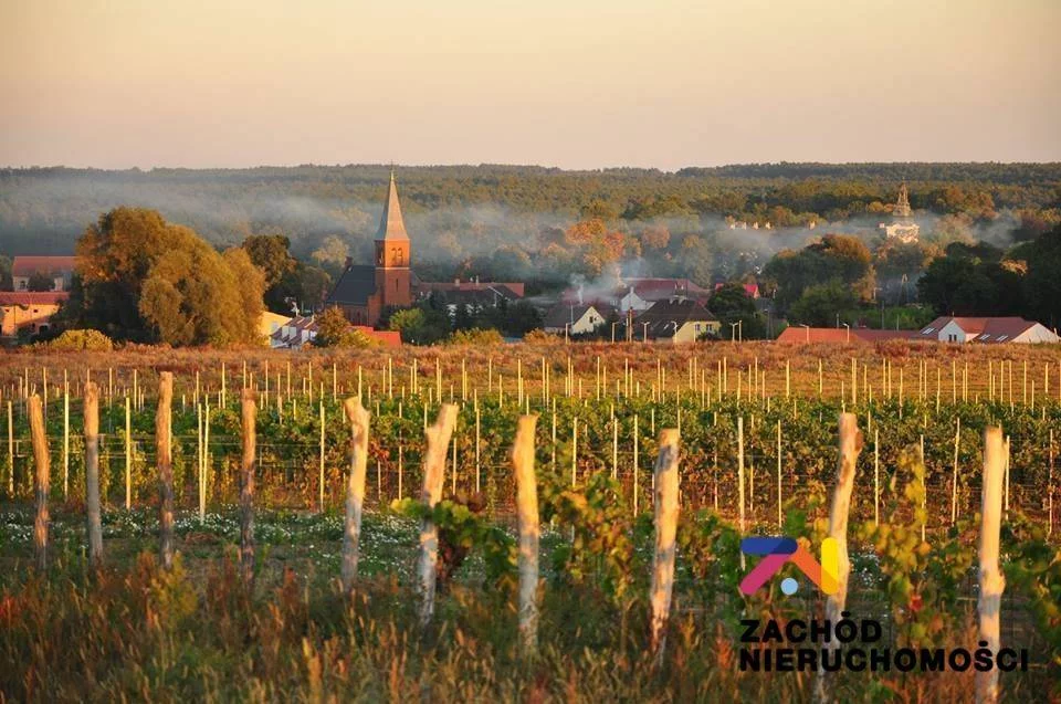 Działka 22 600,00 m², oferta nr , 158120227, Przytok