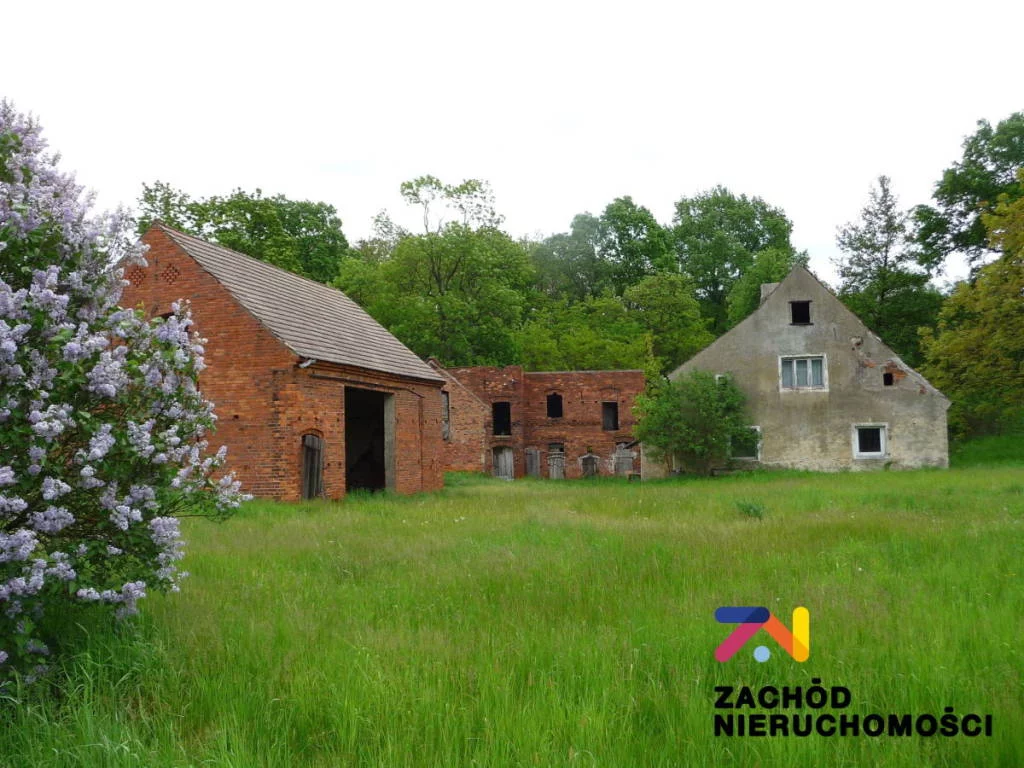 Działka 22 600,00 m², oferta nr , 158110227, Przytok