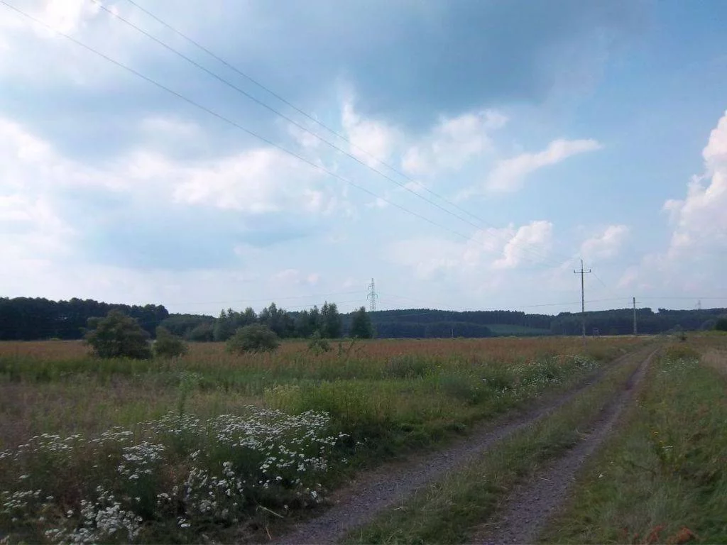 39530227 - zdjęcie nr 0