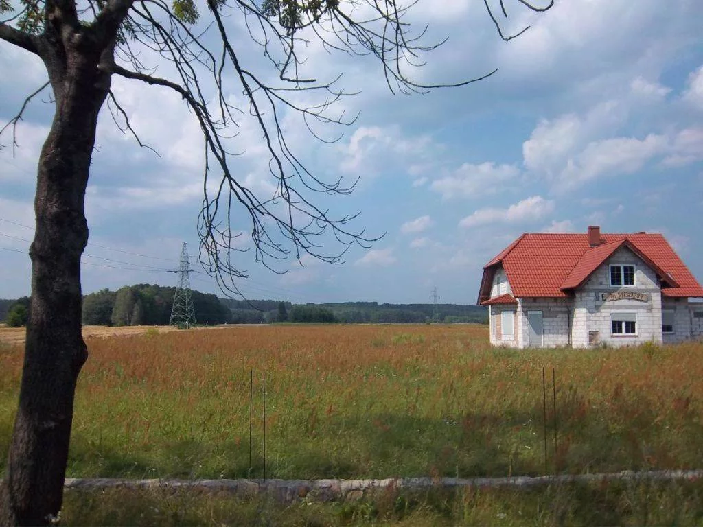 39530227 - zdjęcie nr 2