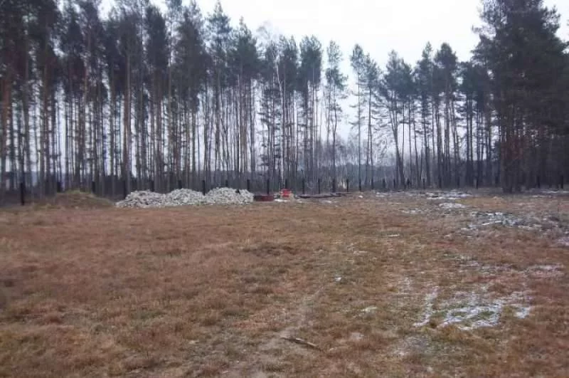 33470227 - zdjęcie nr 0