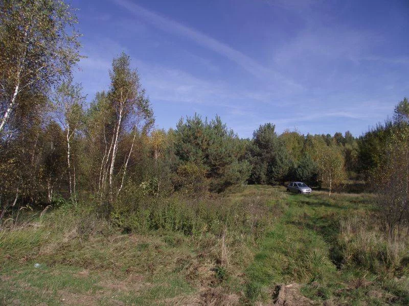 42780227 - zdjęcie nr 2