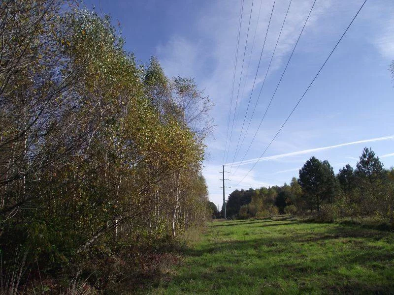 42780227 - zdjęcie nr 5