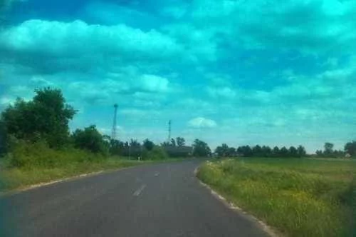 24650227 - zdjęcie nr 2
