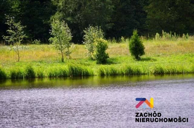 151730227 - zdjęcie nr 4